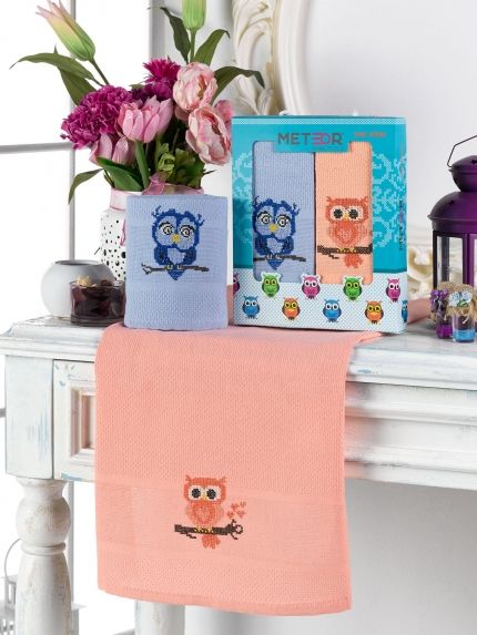 10163 BAYKUS В (40х60)х2шт в коробке Набор кухонный Метеор