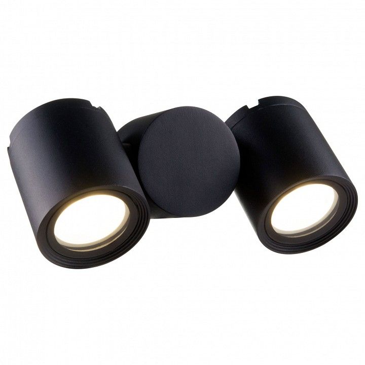 Настенный светильник (бра) Outdoor O010WL-02B