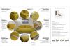 Диван «Капри» Savana plus-Yellow - 7