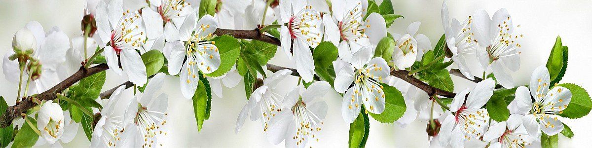 Фартук для кухни «Цветущий сад» 610x2440x3