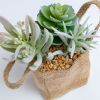 Flower 3 искусственных суккулента в льняной сумке - 4
