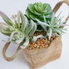 Flower 3 искусственных суккулента в льняной сумке - 5