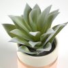 Flower Агава в розовом керамическом горшке - 4
