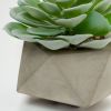 Flower Искусственное растение Echeveria glauca в цементном горшке - 3