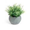 Flower Искусственное растение эвкалипт в сером горшке - 14