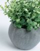 Flower Искусственное растение эвкалипт в сером горшке - 15