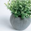 Flower Искусственное растение эвкалипт в сером горшке - 4