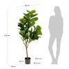 Flower Искусственное растение листовой скрипки 145см - 6