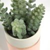 Flower Искусственное растение Sedum lucidum в розовом керамическом горшке - 2