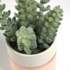 Flower Искусственное растение Sedum lucidum в розовом керамическом горшке - 4