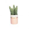 Flower Искусственное растение Sedum lucidum в розовом керамическом горшке - 5