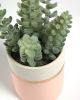 Flower Искусственное растение Sedum lucidum в розовом керамическом горшке - 6