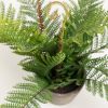 Flower Искусственный папоротник в горшке из цемента 35см - 2