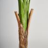 Искусственное растение MONSTERA - 3