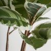 Искусственное растение ROBLE BLANCO - 2