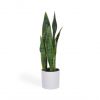 Искусственное растение Sansevieria с белым горшком 55 см - 15