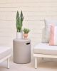 Искусственное растение Sansevieria с белым горшком 55 см - 5