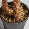 Искусственный папоротник HELECHO - 4