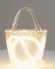 Лампа настольная светодиодная Moderli V11674-TL Bag - 11
