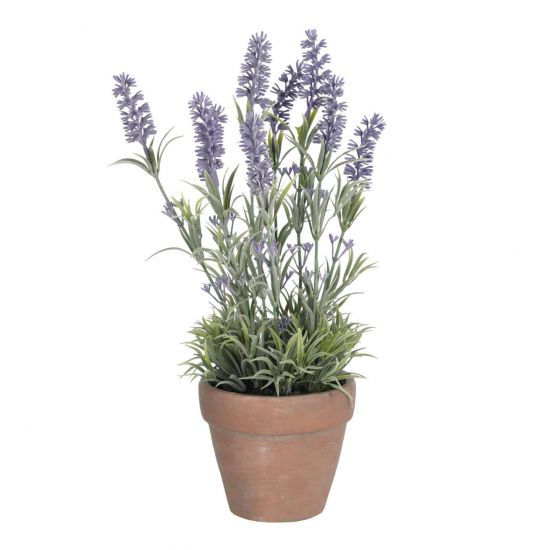 Лаванда в цементном горшке Flower