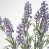 Лаванда в цементном горшке Flower - 6
