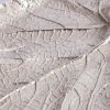 Монетница Secret De Maison MAPLE2 ( mod. 9349 ) алюминиевый сплав, 26,5x22,5x4 см, никель-nickel - 3