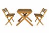 Набор мебели раскладной Дятел арт.G-001-OAK, G-СH-001-OAK бежевый, 3 уп (1 уп Стол; 2 уп Стул) - 6