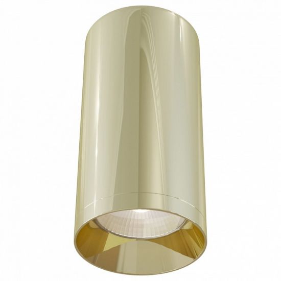 Потолочный светильник Technical C010CL-01G