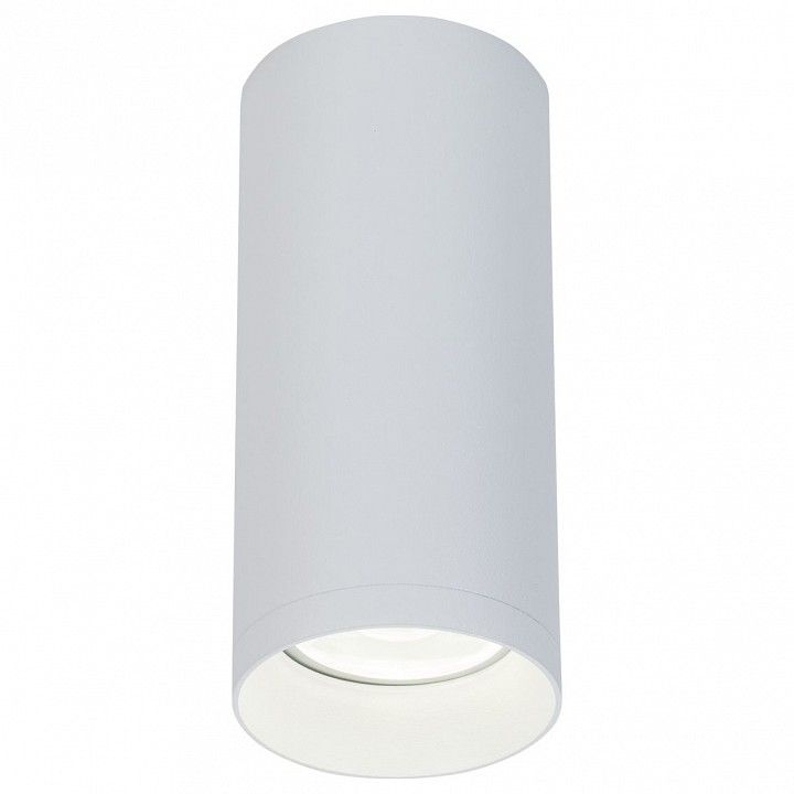 Потолочный светильник Technical C010CL-01W