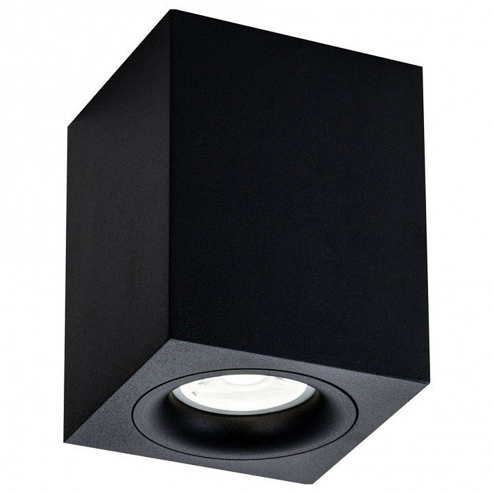 Потолочный светильник Technical C013CL-01B