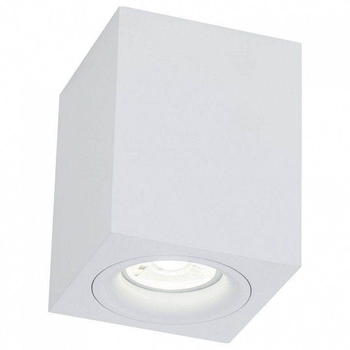 Потолочный светильник Technical C013CL-01W