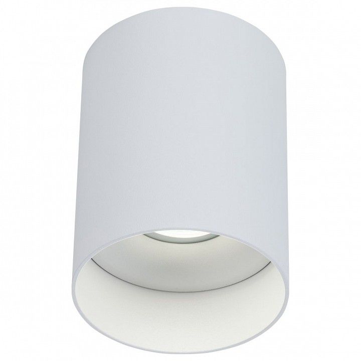 Потолочный светильник Technical C014CL-01W