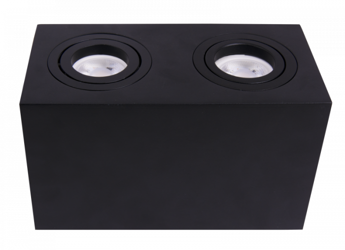 Потолочный светильник Technical C017CL-02B