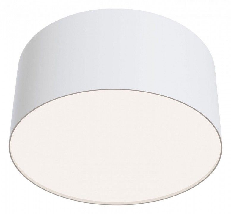 Потолочный светильник Technical C032CL-L12W4K