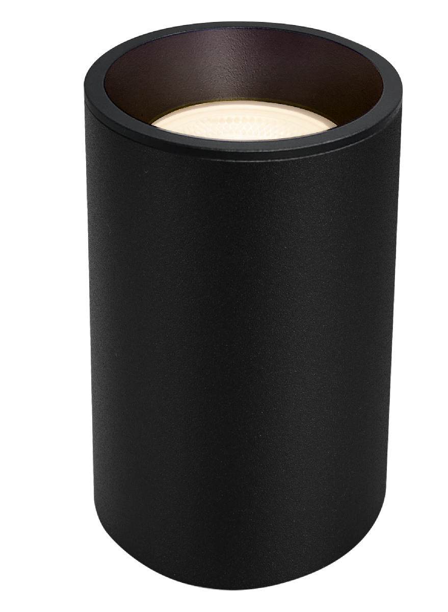 Потолочный светильник Technical C029CL-01-S-B