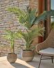 Пальма искусственная Palmera с черным горшком 70 см - 2