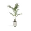 Пальма искусственная Palmera с черным горшком 70 см - 5