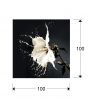 Печатная фотография Splash 100x100 - 2
