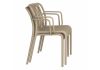 Пластиковый стул Sheffilton SHT-S173-1 Капучино ral 1019 - 4