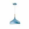 Подвесной светильник Moderli V1295-1P Eline 1*E27*60W - 10