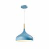 Подвесной светильник Moderli V1295-1P Eline 1*E27*60W - 11