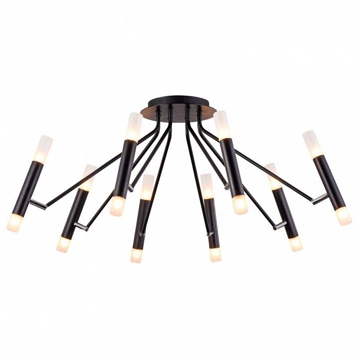 Потолочный светильник Maytoni MOD620CL-16B