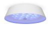 Потолочный светильник Freya FR10013CL-L24W - 5