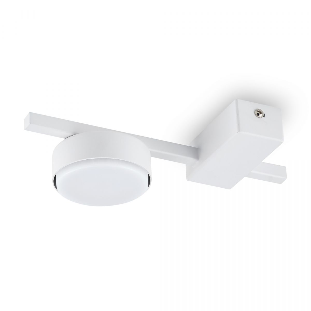 Потолочный светильник Freya FR5363CL-01W