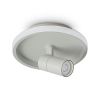 Потолочный светильник Freya FR6040CL-L14W - 3