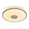 Потолочный светильник Freya FR6226CL-L36W - 6