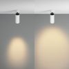 Потолочный светильник Technical C055CL-L12W2.7K-Z-W - 4