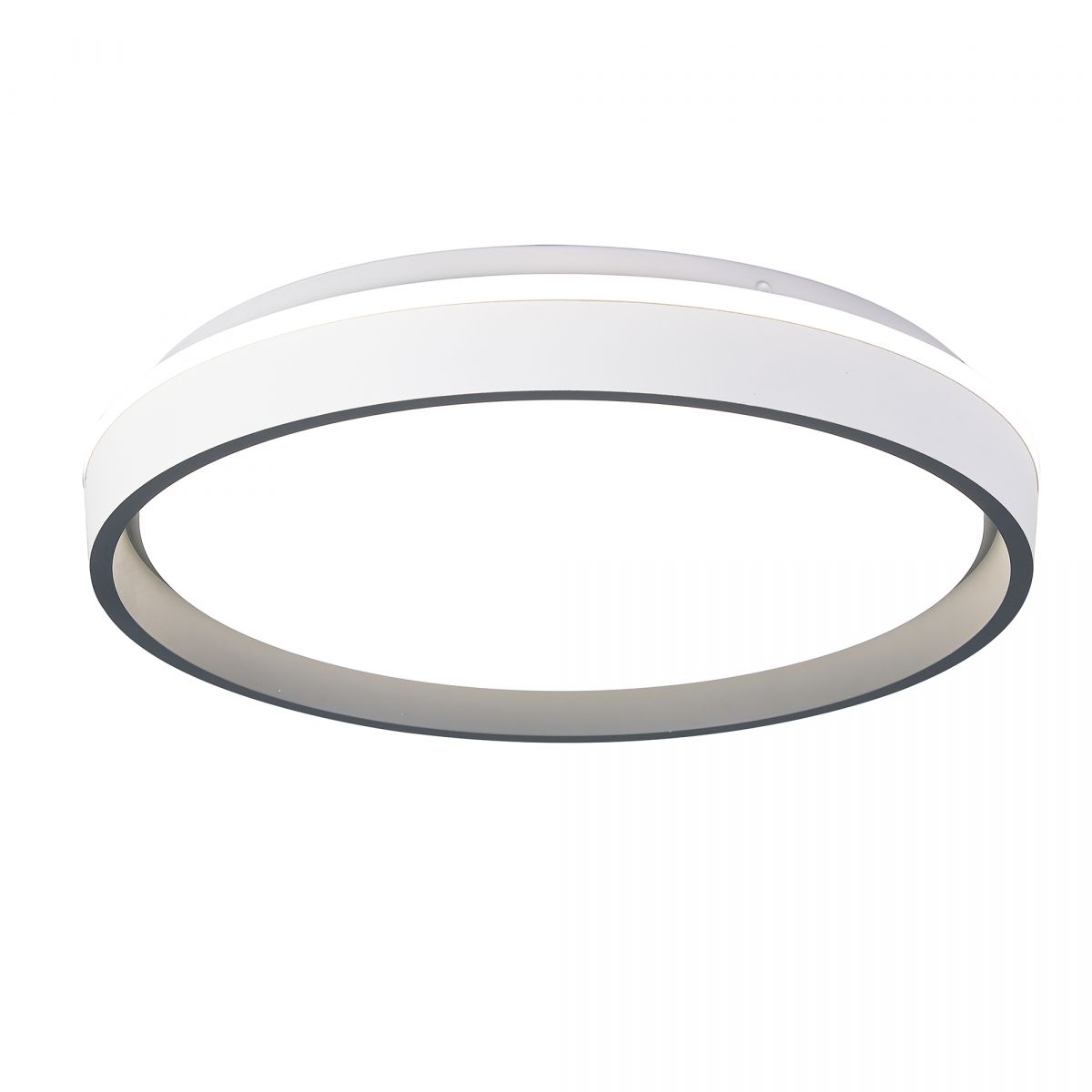 Потолочный светильник VERONA 9029