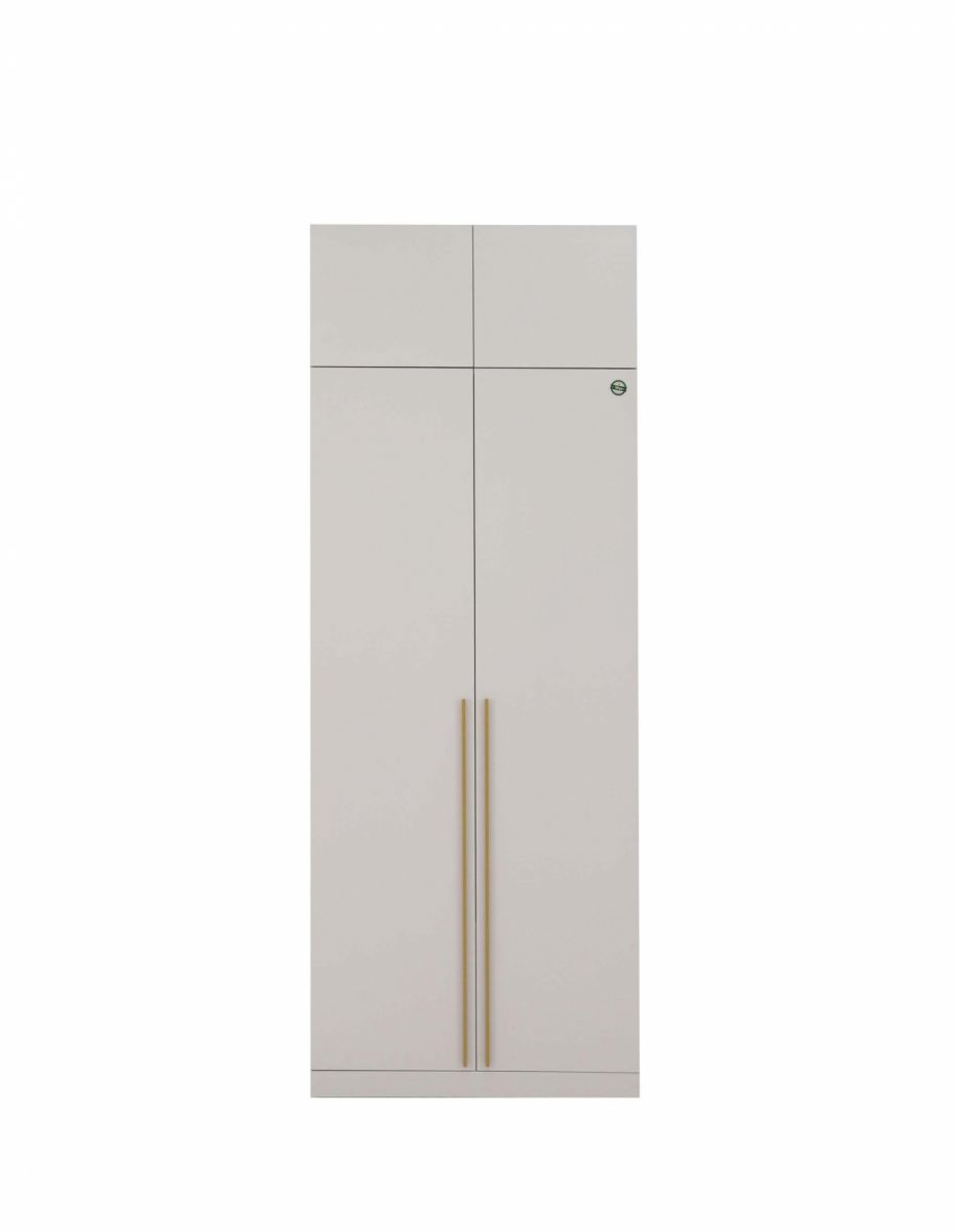 Прихожая Николь 2 Шкаф, Сатиновое золото