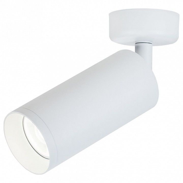 Потолочный светильник Technical C017CW-01W